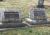 Gravestones John and Phyllis Goodwin
